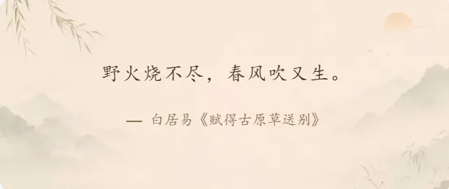 TabPlus 每日诗词小组件